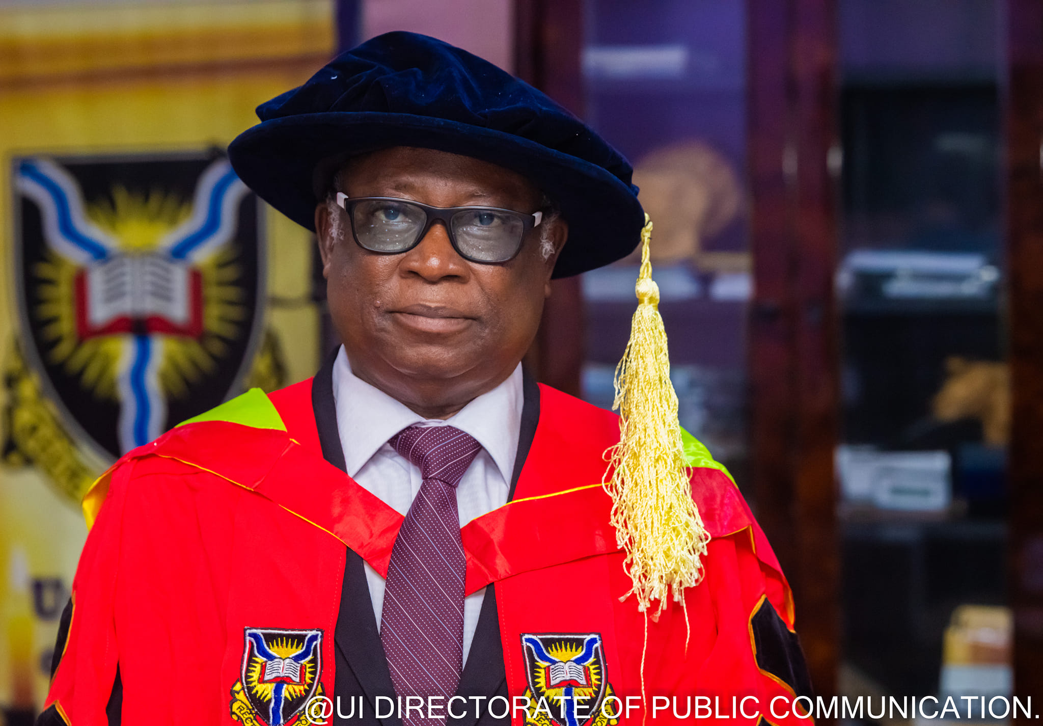 University of Ibadan Don Advocates for Harnessing Cultural Heritage for Sustainable Development